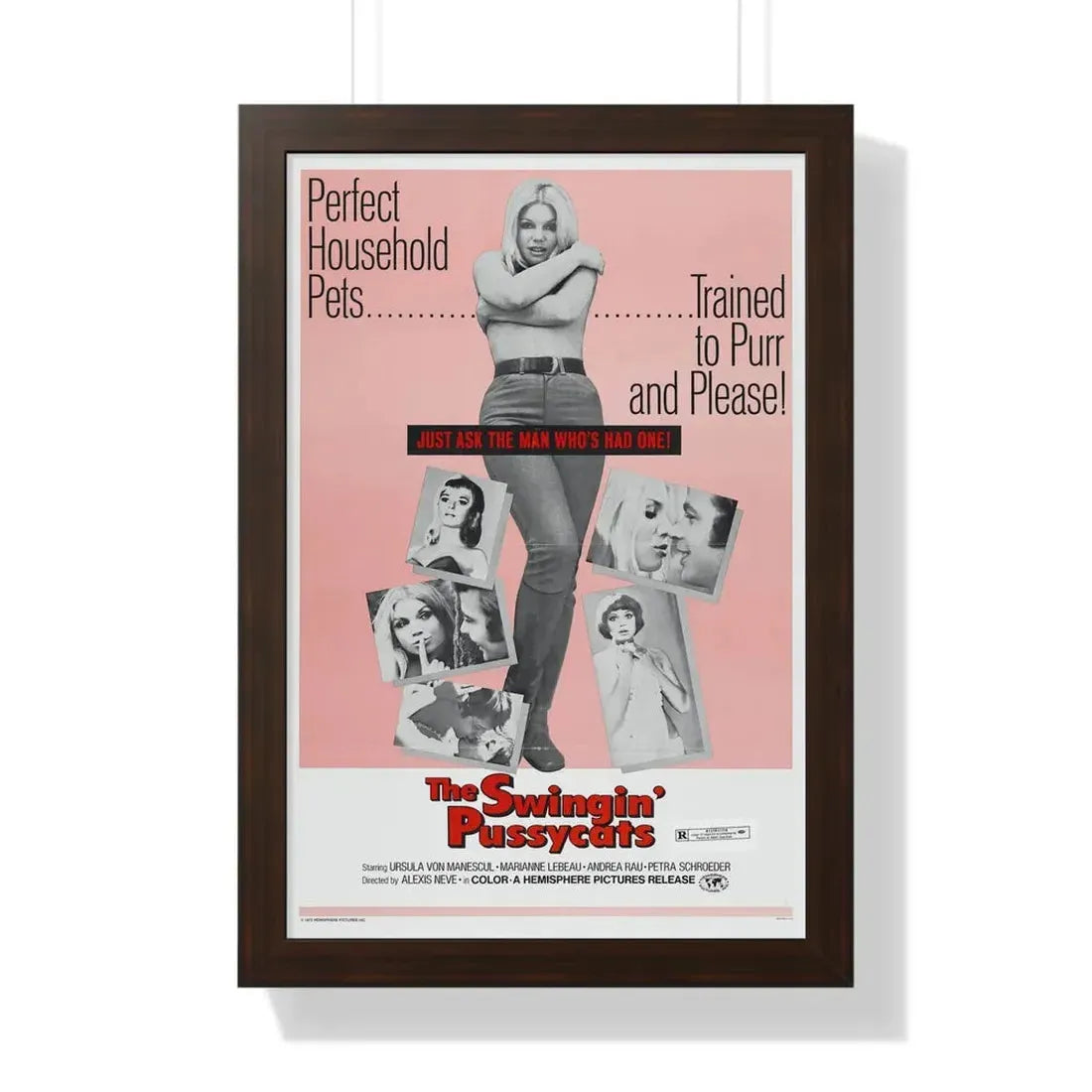 THE SWINGIN' PUSSYCATS 1969 - Framed Movie Poster 16″ x 24″ Walnut - The Sticker Space