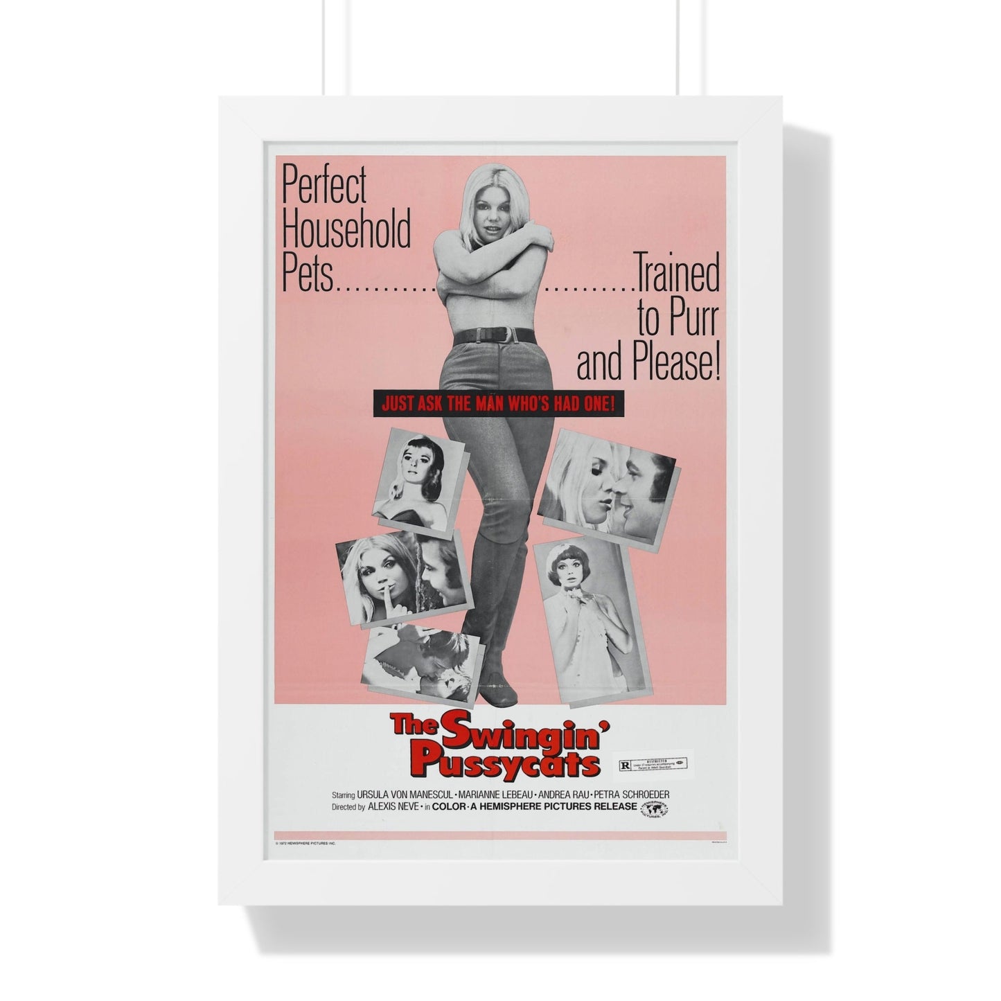 THE SWINGIN' PUSSYCATS 1969 - Framed Movie Poster-16″ x 24″-The Sticker Space