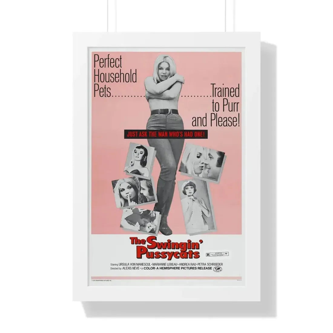 THE SWINGIN' PUSSYCATS 1969 - Framed Movie Poster 16″ x 24″ White - The Sticker Space