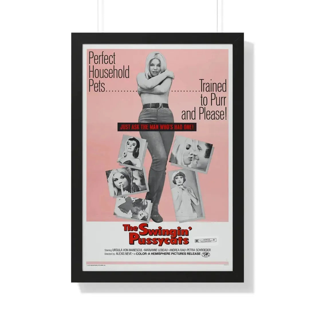THE SWINGIN' PUSSYCATS 1969 - Framed Movie Poster 20" x 30" Black - The Sticker Space