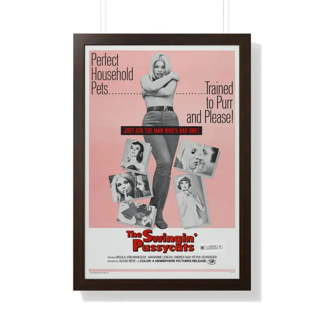 THE SWINGIN' PUSSYCATS 1969 - Framed Movie Poster 20" x 30" Walnut - The Sticker Space