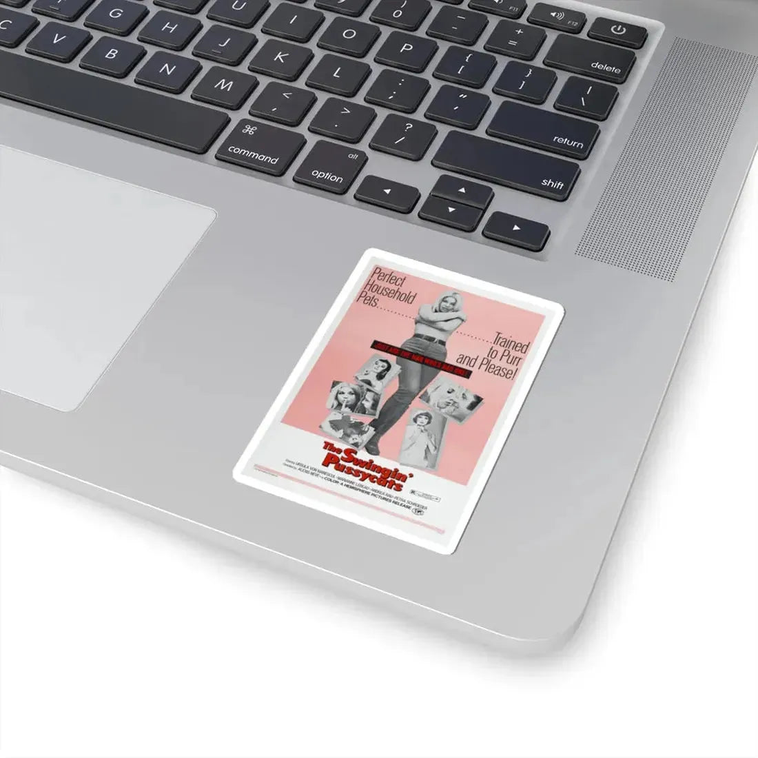 THE SWINGIN' PUSSYCATS 1969 Movie Poster - STICKER Vinyl Kiss-Cut Decal - The Sticker Space