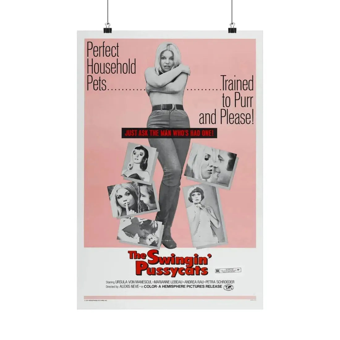 THE SWINGIN' PUSSYCATS 1969 - Paper Movie Poster 16″ x 24″ Matte - The Sticker Space
