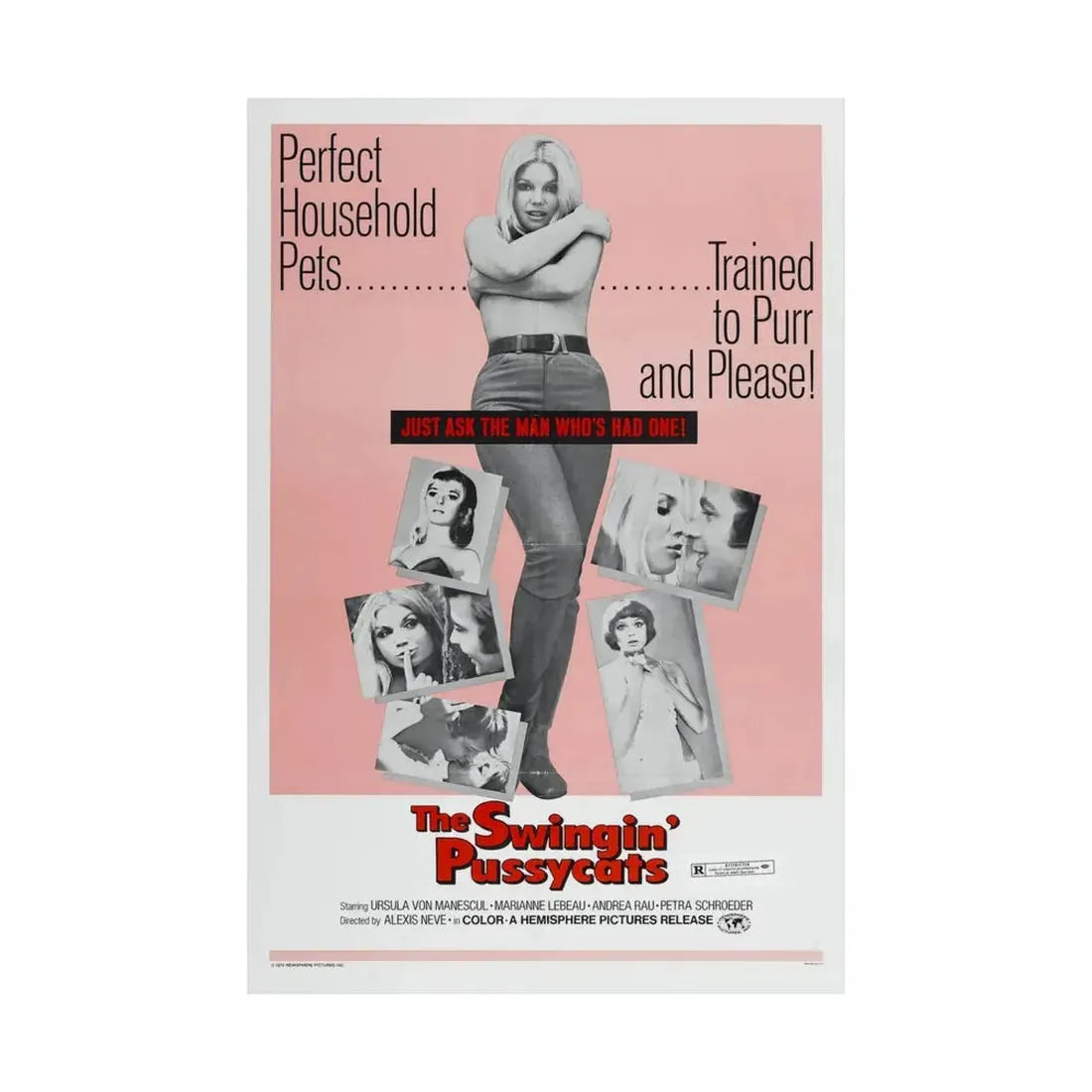 THE SWINGIN' PUSSYCATS 1969 - Paper Movie Poster - The Sticker Space