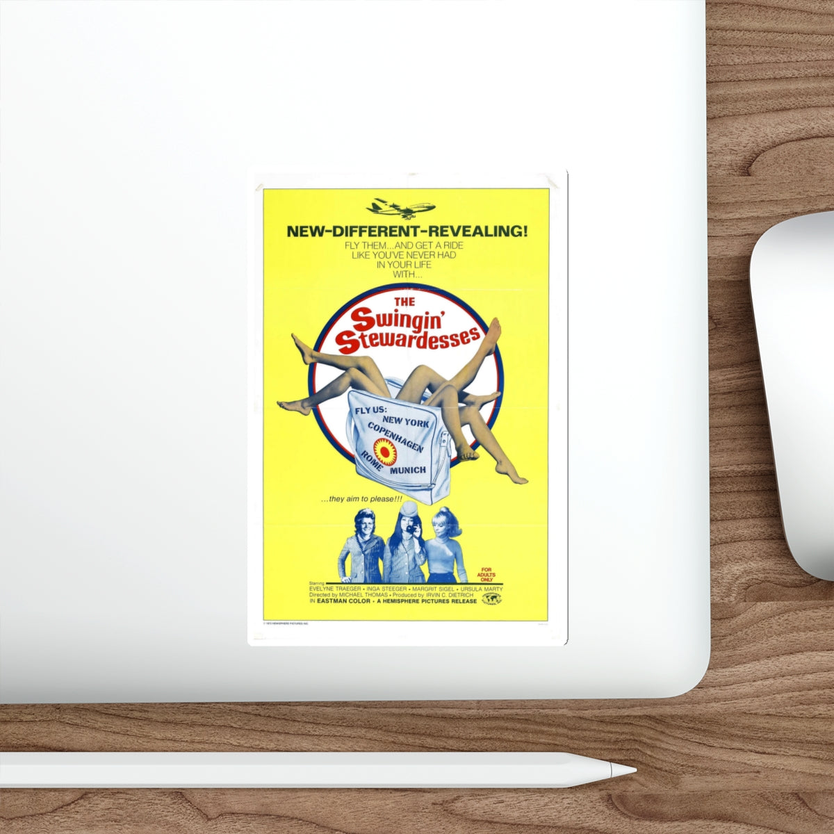 THE SWINGING STEWARDESSES 1971 Movie Poster STICKER Vinyl Die-Cut Decal-The Sticker Space