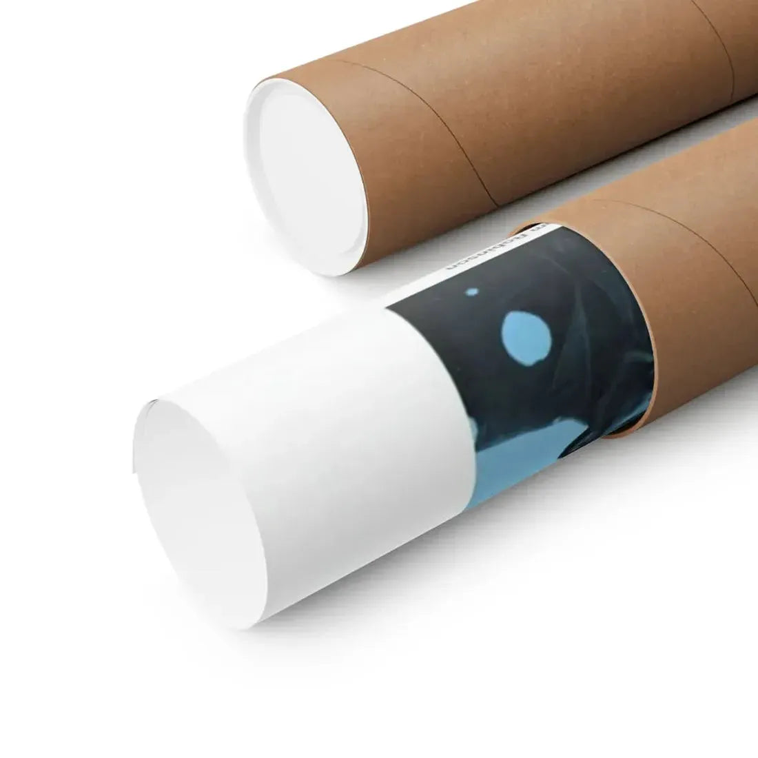 THE SWITCHBLADE SISTERS 1975 - Paper Movie Poster - The Sticker Space