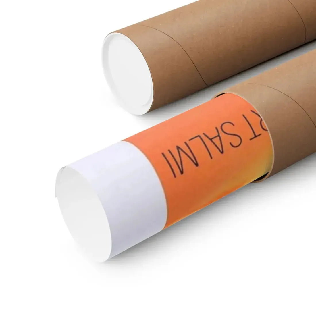 THE TAKE 1974 - Paper Movie Poster - The Sticker Space