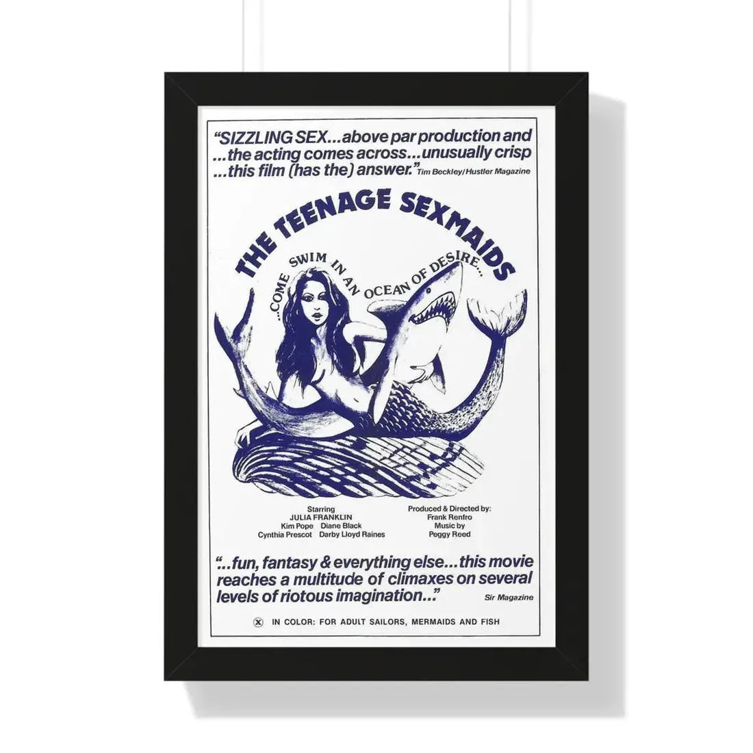 THE TEENAGE SEXMAIDS 1976 - Framed Movie Poster 16″ x 24″ Black - The Sticker Space