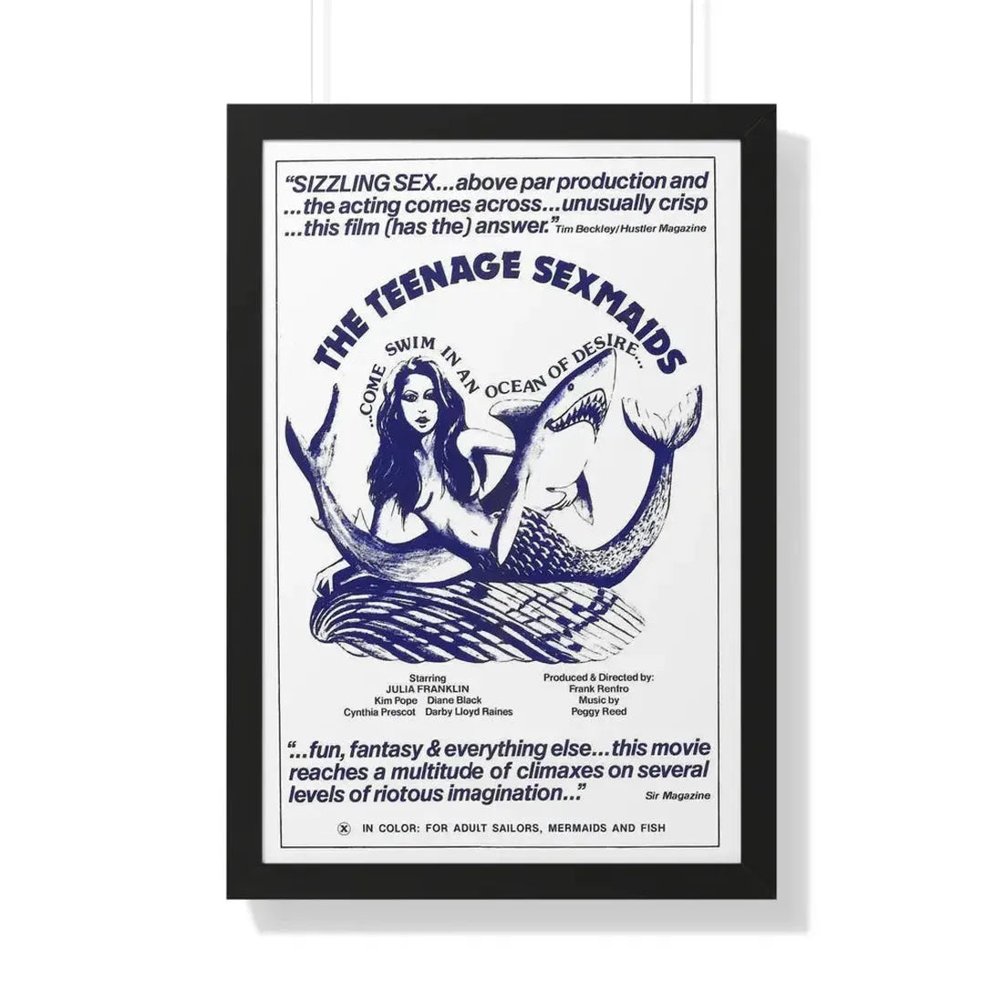 THE TEENAGE SEXMAIDS 1976 - Framed Movie Poster 20" x 30" Black - The Sticker Space