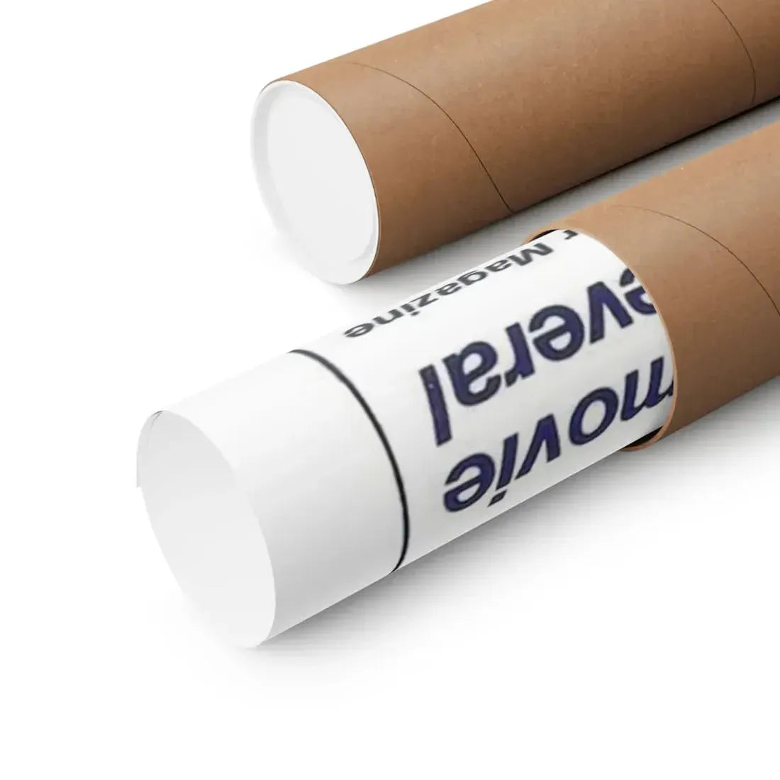 THE TEENAGE SEXMAIDS 1976 - Paper Movie Poster - The Sticker Space