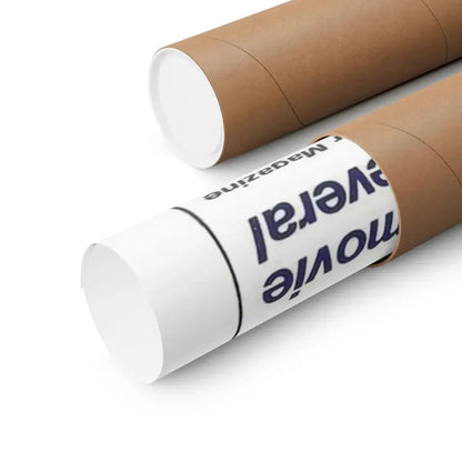 THE TEENAGE SEXMAIDS 1976 - Paper Movie Poster - The Sticker Space