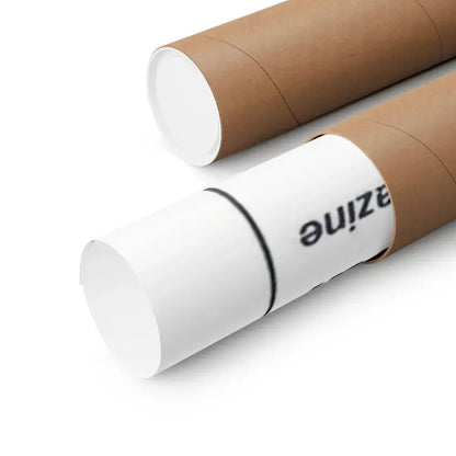 THE TEENAGE SEXMAIDS 1976 - Paper Movie Poster - The Sticker Space