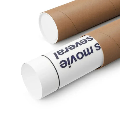 THE TEENAGE SEXMAIDS 1976 - Paper Movie Poster - The Sticker Space