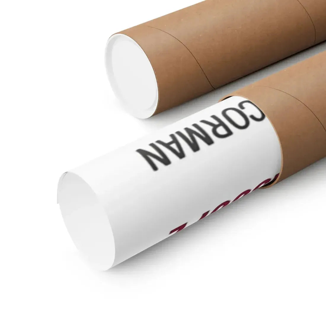 THE TERROR 1963 - Paper Movie Poster - The Sticker Space