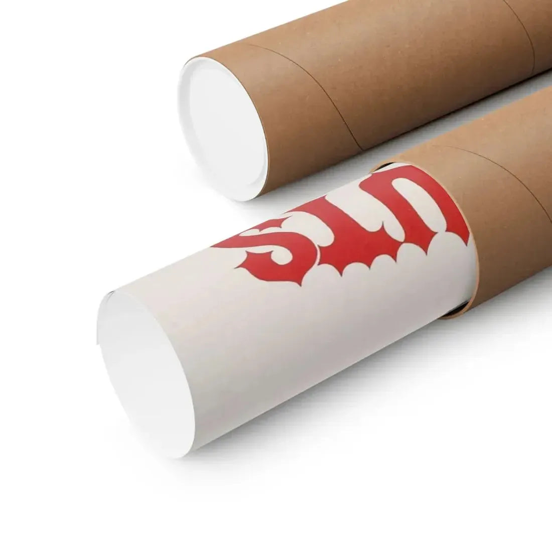 THE TERRORNAUTS 1967 - Paper Movie Poster - The Sticker Space