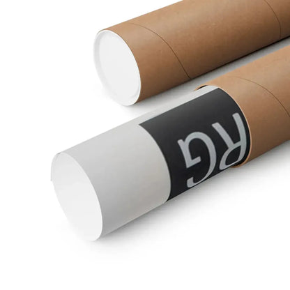 THE TRIP 1967 - Paper Movie Poster - The Sticker Space