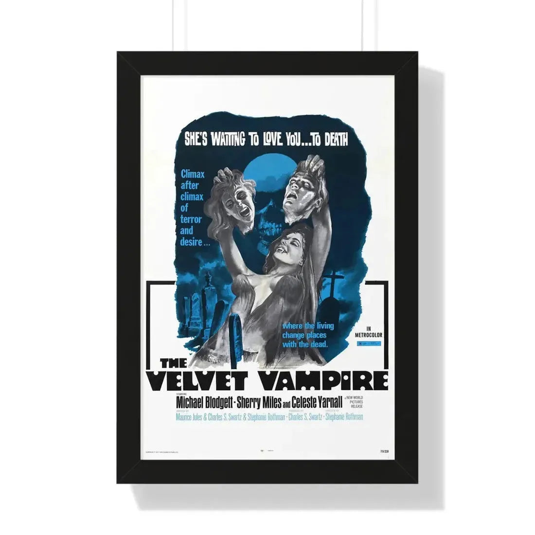 THE VELVET VAMPIRE 1971 - Framed Movie Poster 16″ x 24″ Black - The Sticker Space