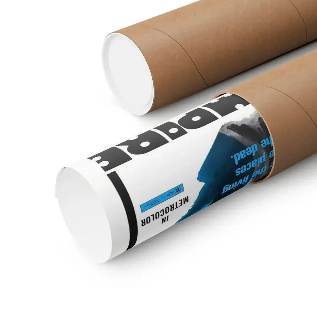 THE VELVET VAMPIRE 1971 - Paper Movie Poster - The Sticker Space