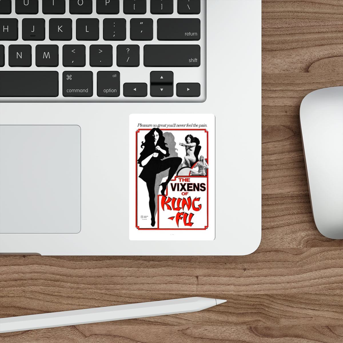 THE VIXENS OF KUNG-FU 1975 Movie Poster STICKER Vinyl Die-Cut Decal-The Sticker Space