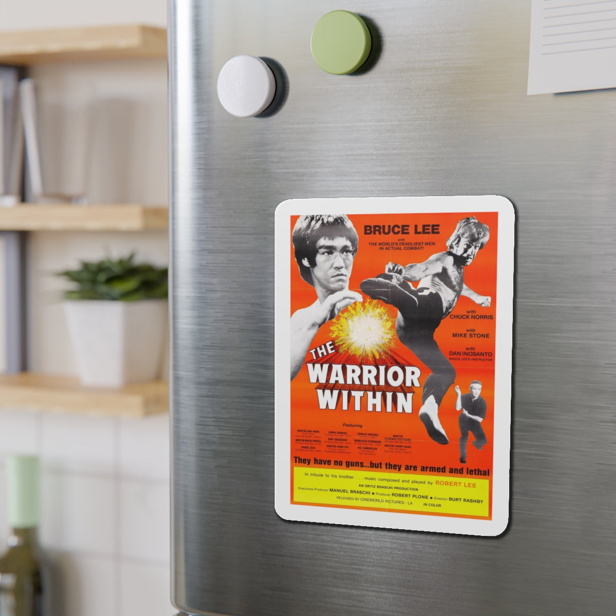 THE WARRIOR WITHIN 1977 Movie Poster - Refrigerator Magnet-The Sticker Space