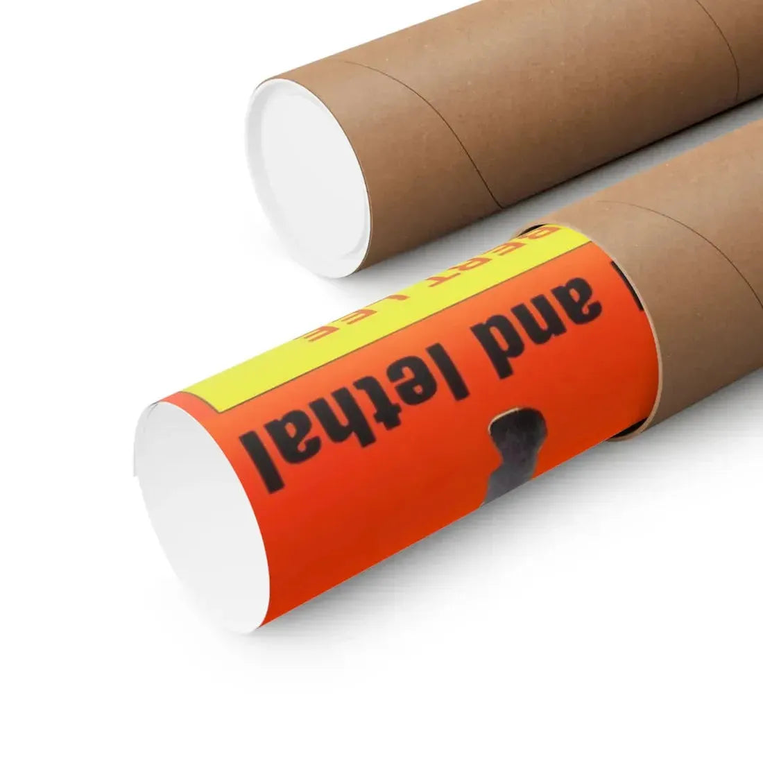 THE WARRIOR WITHIN 1977 - Paper Movie Poster - The Sticker Space