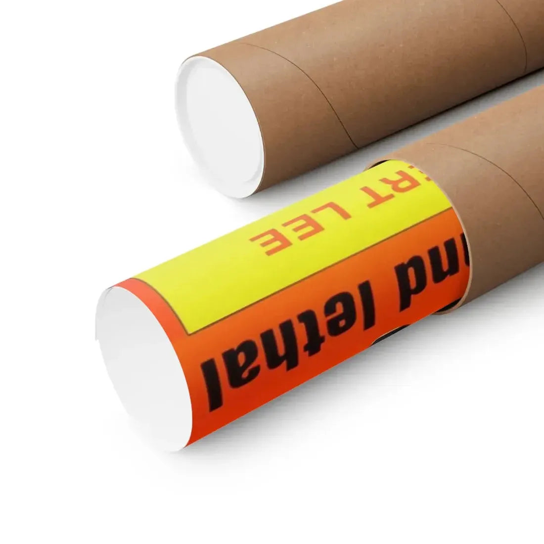 THE WARRIOR WITHIN 1977 - Paper Movie Poster - The Sticker Space