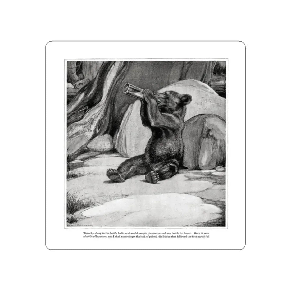 The Wild Heart, Good Housekeeping, June 1921 (Magazine Illustration) STICKER Vinyl Die-Cut Decal White Die-Cut 2 Inch - The Sticker Space