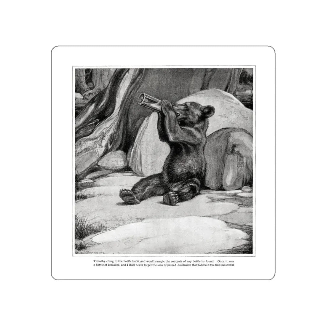 The Wild Heart, Good Housekeeping, June 1921 (Magazine Illustration) STICKER Vinyl Die-Cut Decal White Die-Cut 4 Inch - The Sticker Space