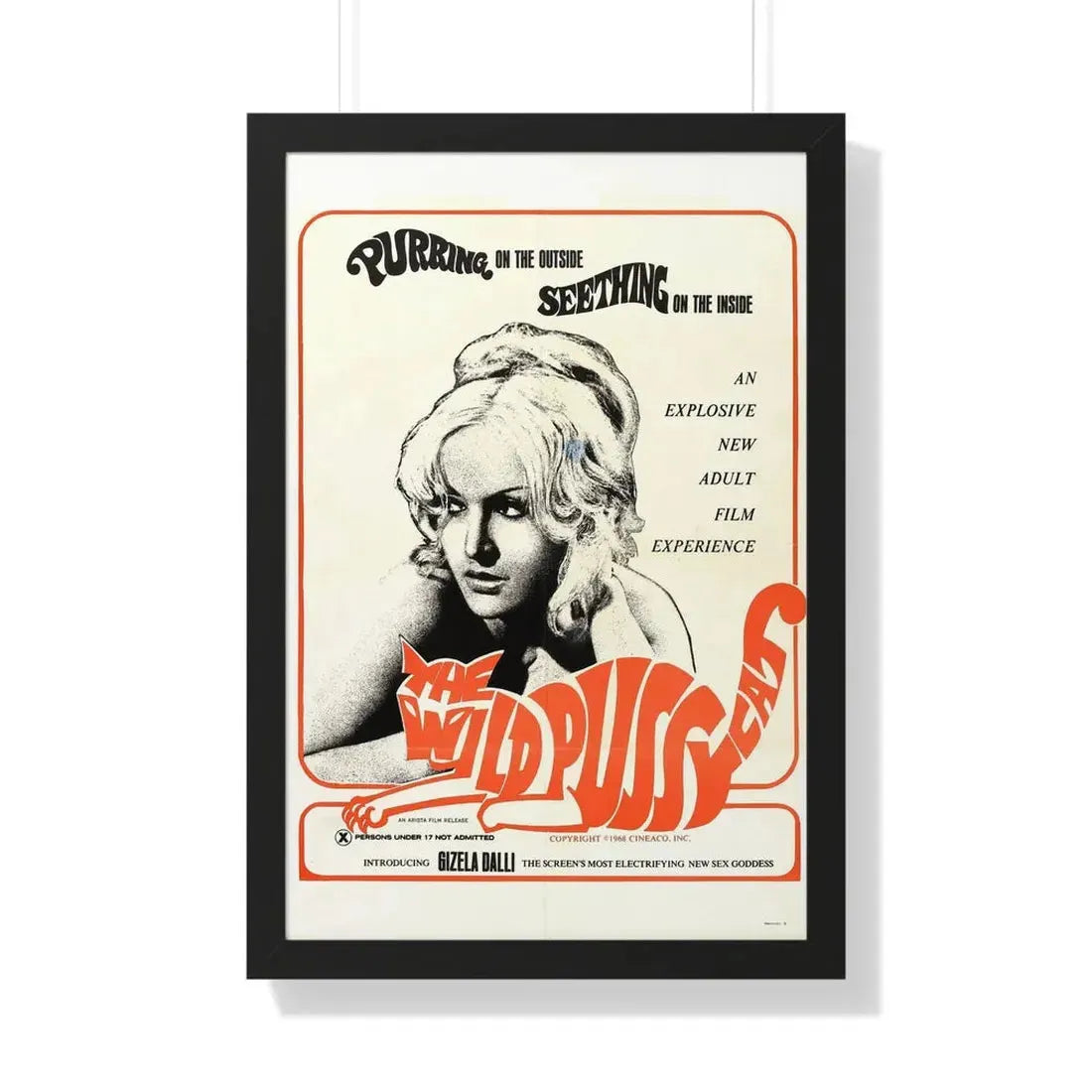 THE WILD PUSSYCAT 1969 - Framed Movie Poster 20" x 30" Black - The Sticker Space