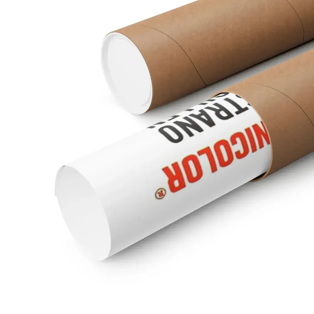 THE WILD REBELS 1967 - Paper Movie Poster - The Sticker Space