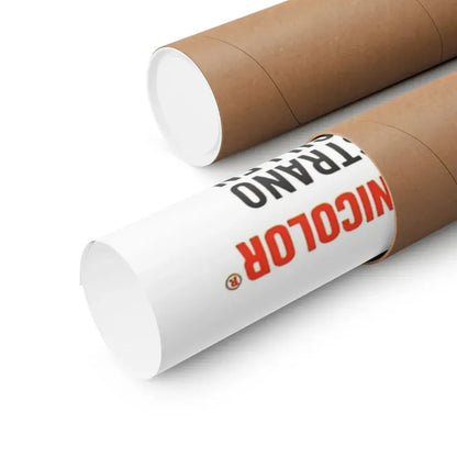 THE WILD REBELS 1967 - Paper Movie Poster - The Sticker Space