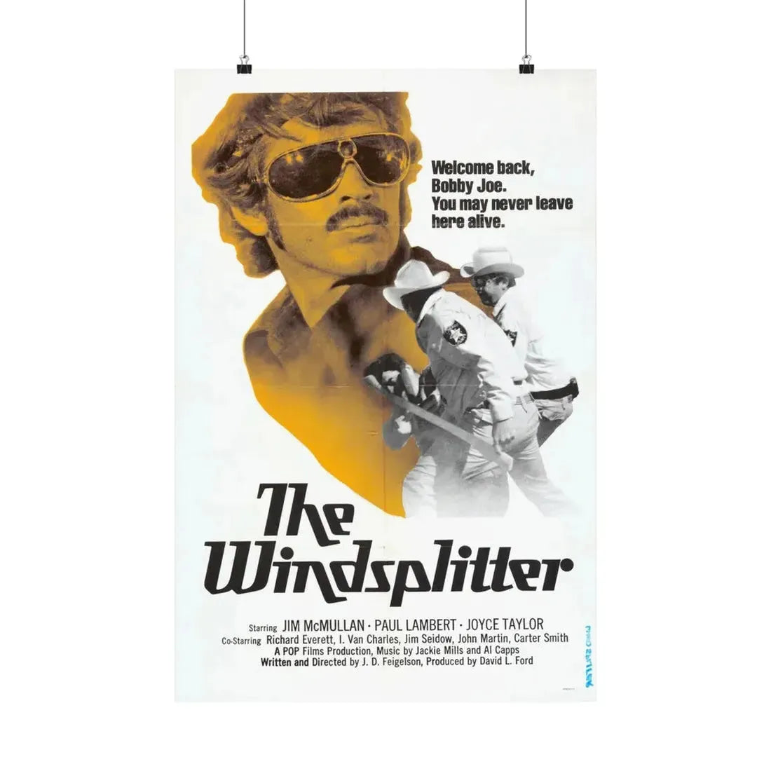 THE WINDSPLITTER 1971 - Paper Movie Poster 20″ x 30″ Matte - The Sticker Space