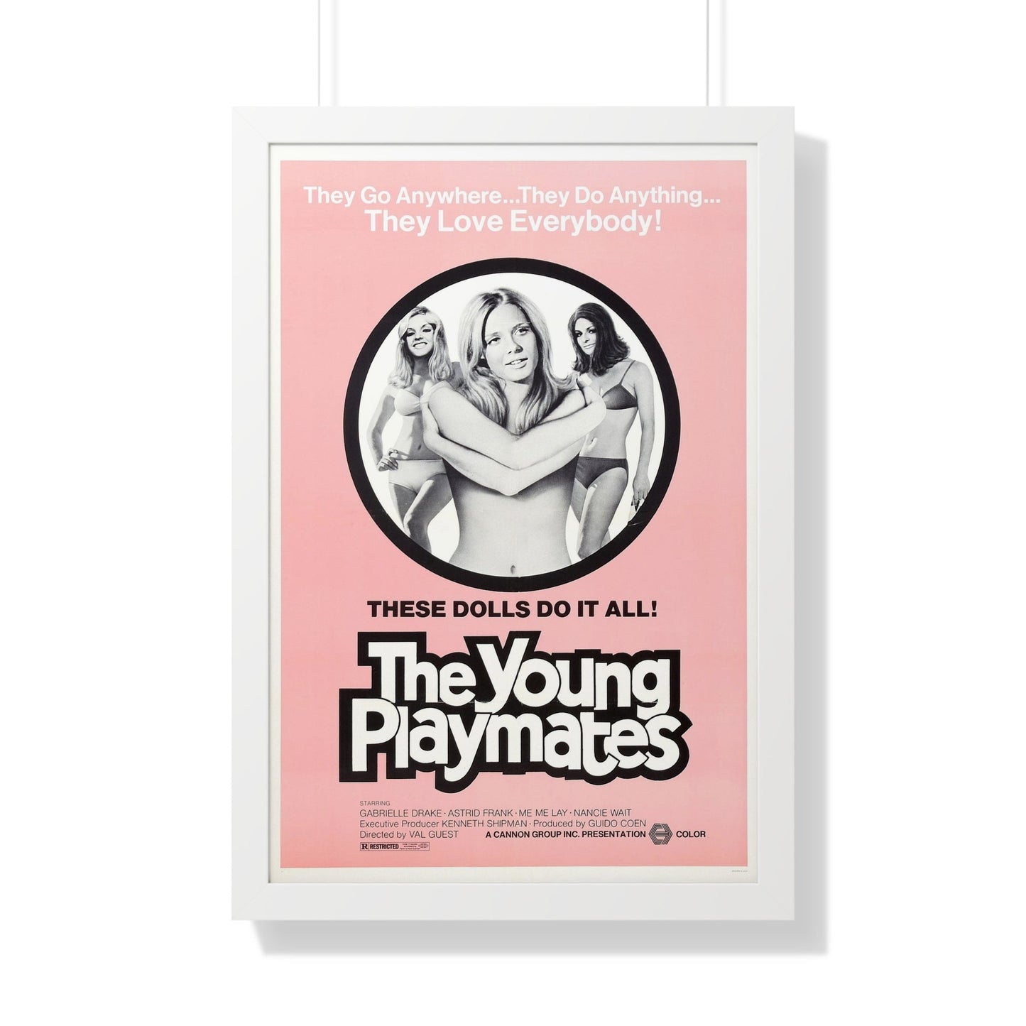 THE YOUNG PLAYMATES 1972 - Framed Movie Poster-20" x 30"-The Sticker Space