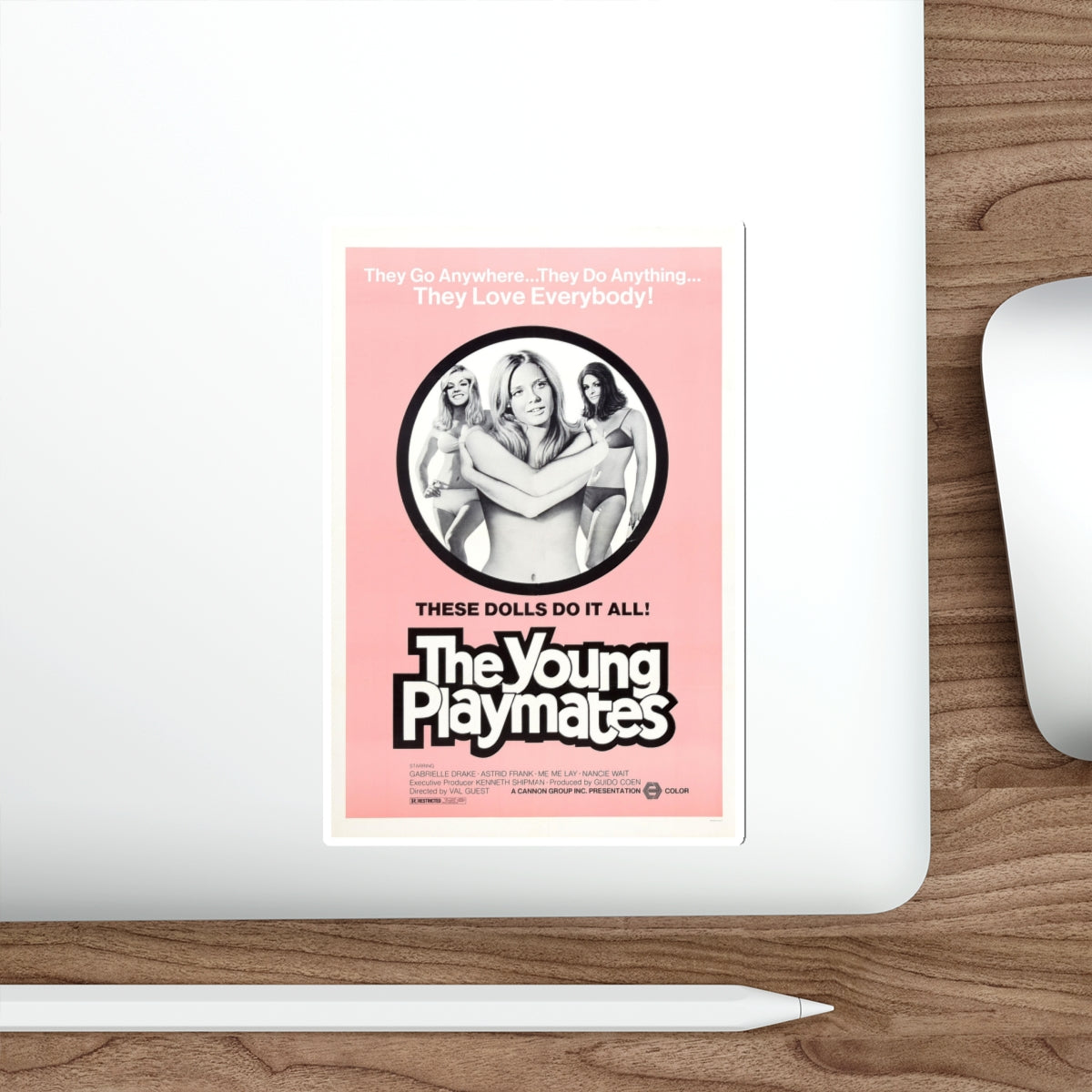 THE YOUNG PLAYMATES 1972 Movie Poster STICKER Vinyl Die-Cut Decal-The Sticker Space