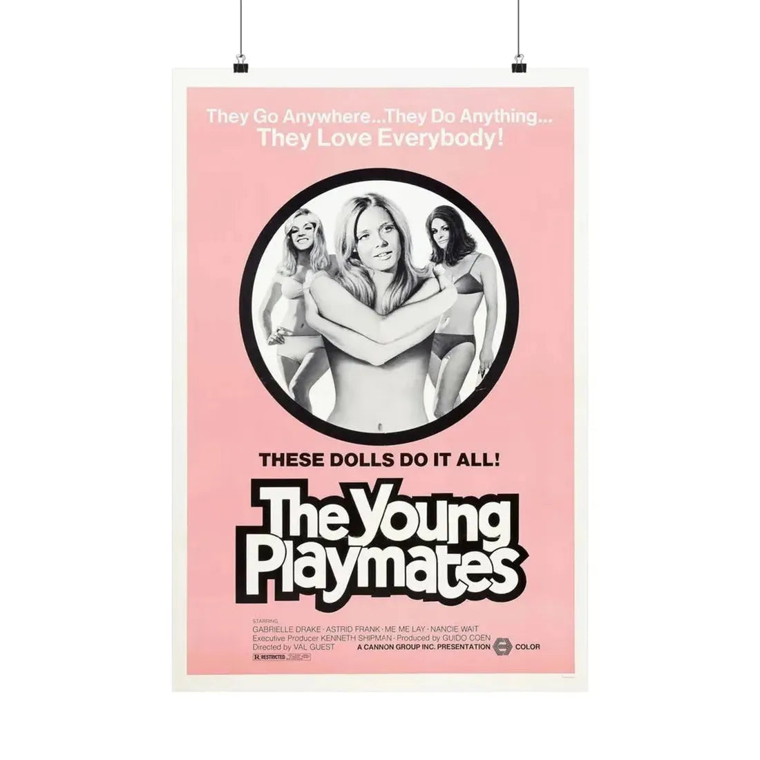 THE YOUNG PLAYMATES 1972 - Paper Movie Poster 20″ x 30″ Matte - The Sticker Space