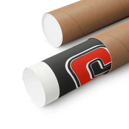 THE YOUNG RACERS 1963 - Paper Movie Poster - The Sticker Space