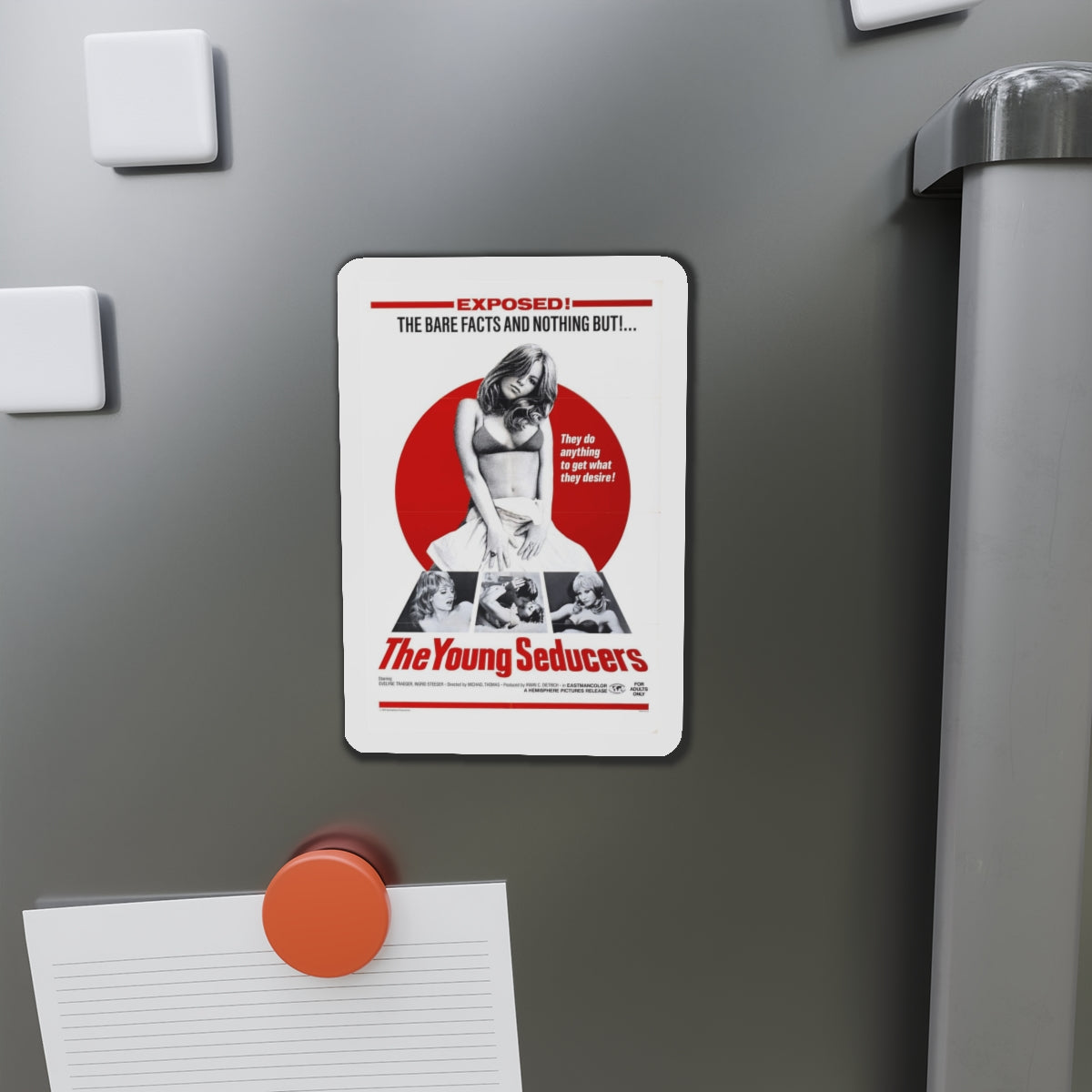 THE YOUNG SEDUCERS (SWINGIN STEWARDESSES) 1971 Movie Poster - Refrigerator Magnet-The Sticker Space