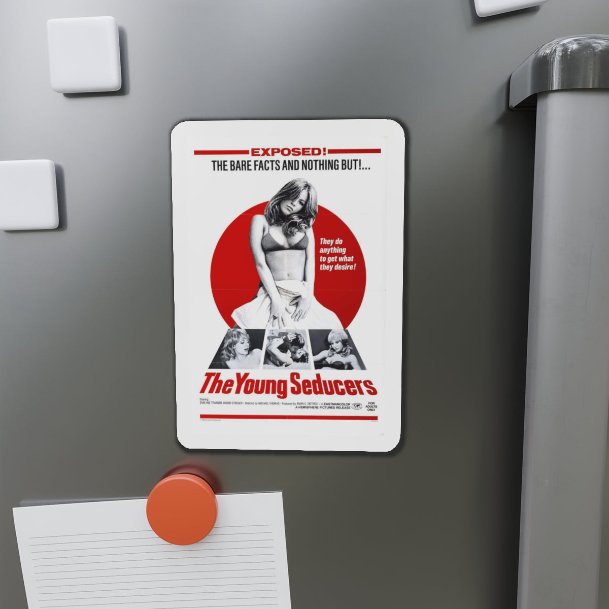 THE YOUNG SEDUCERS (SWINGIN STEWARDESSES) 1971 Movie Poster - Refrigerator Magnet-The Sticker Space