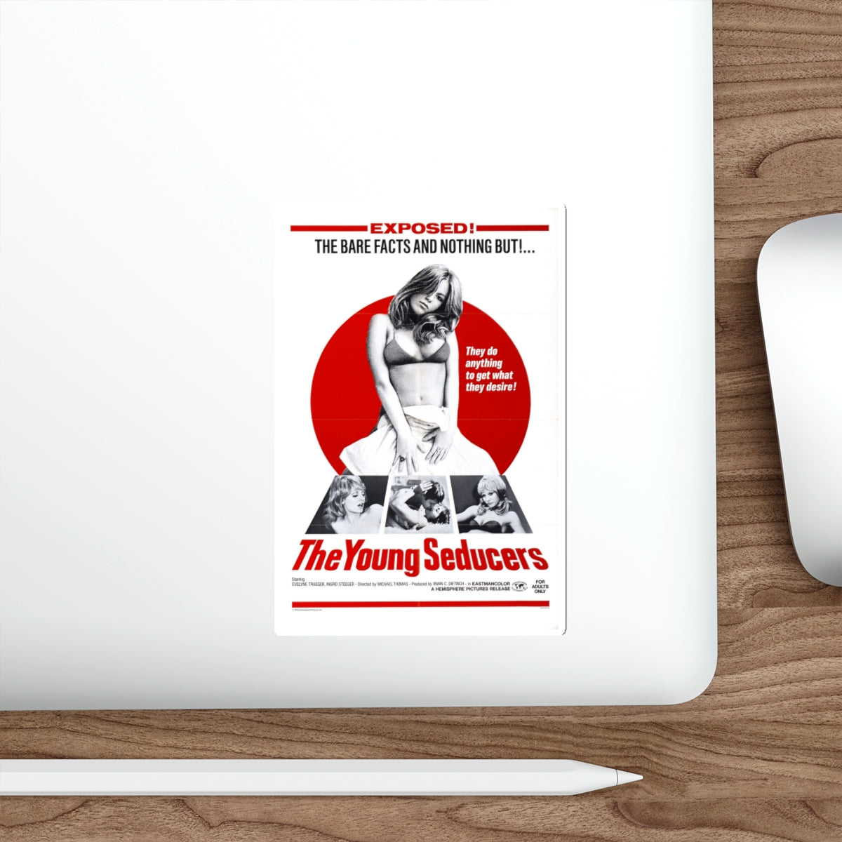 THE YOUNG SEDUCERS (SWINGIN STEWARDESSES) 1971 Movie Poster STICKER Vinyl Die-Cut Decal-The Sticker Space