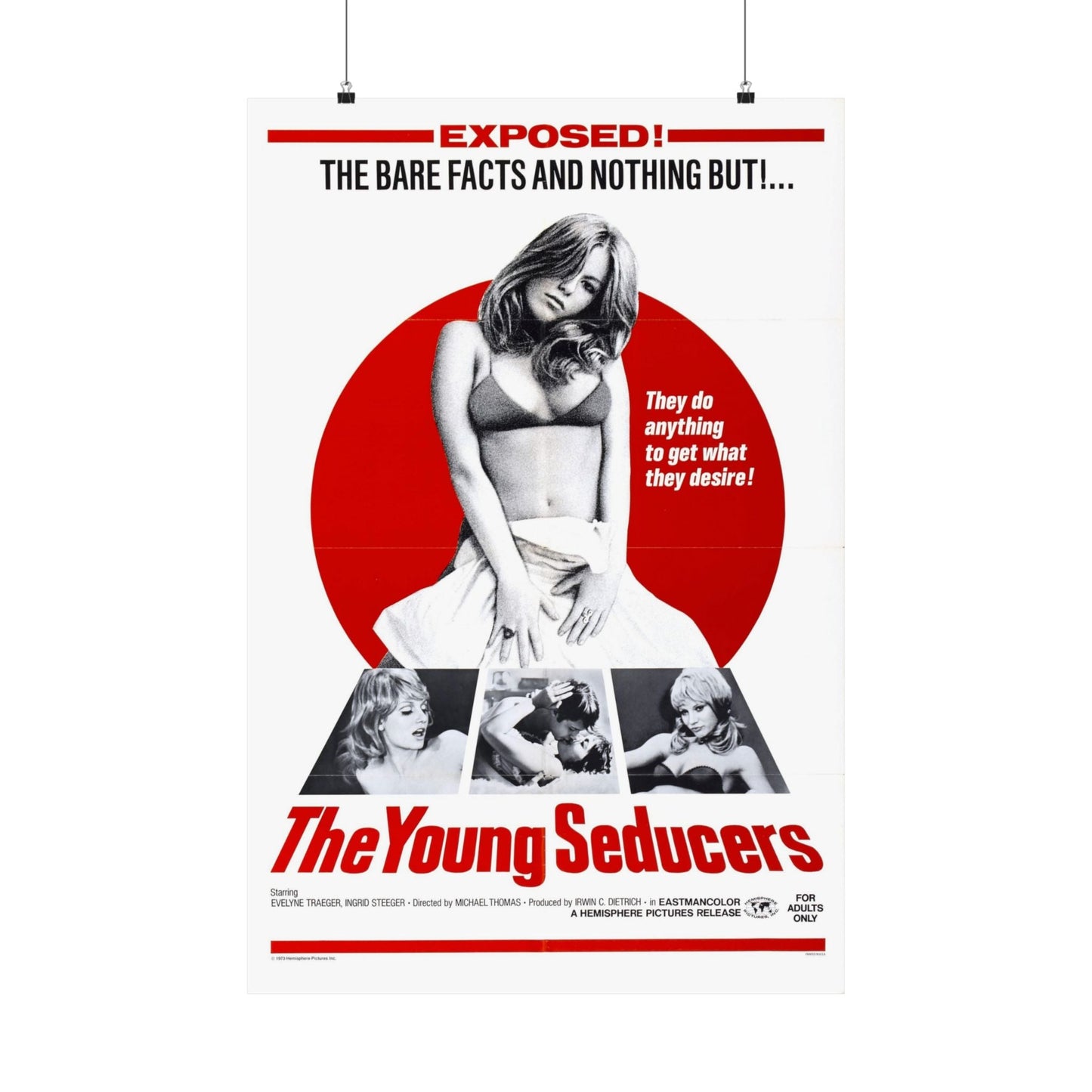 THE YOUNG SEDUCERS (SWINGIN STEWARDESSES) 1971 - Paper Movie Poster-24″ x 36″-The Sticker Space