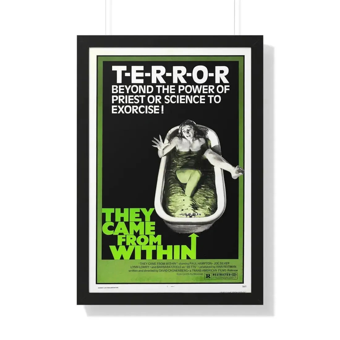 THEY CAME FROM WITHIN (SHIVERS, THE PARASITE MURDERS) 1975 - Framed Movie Poster 20" x 30" Black - The Sticker Space