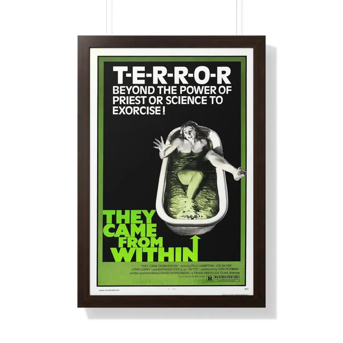 THEY CAME FROM WITHIN (SHIVERS, THE PARASITE MURDERS) 1975 - Framed Movie Poster 20" x 30" Walnut - The Sticker Space