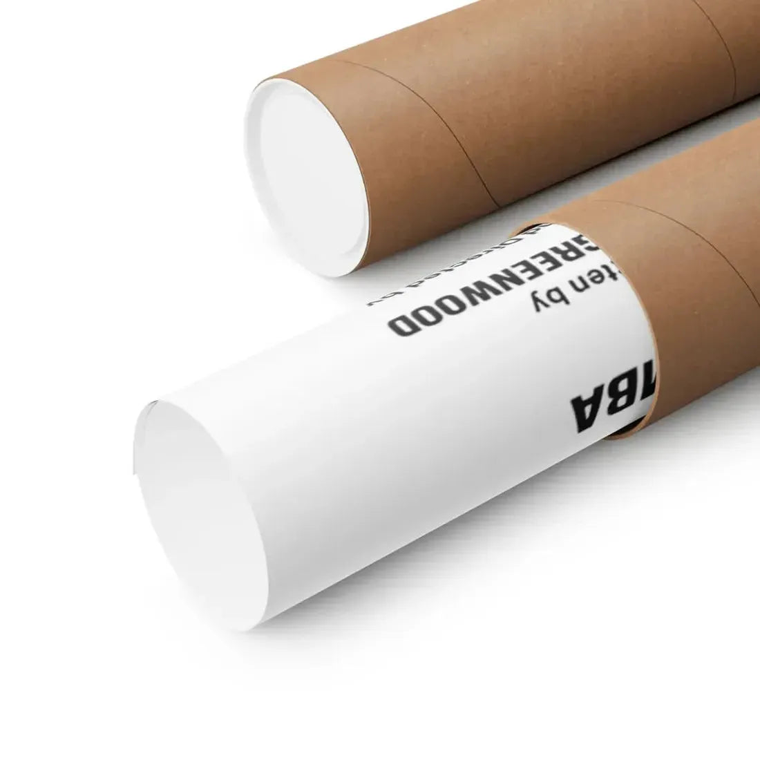 THINGS TO COME 1976 - Paper Movie Poster - The Sticker Space