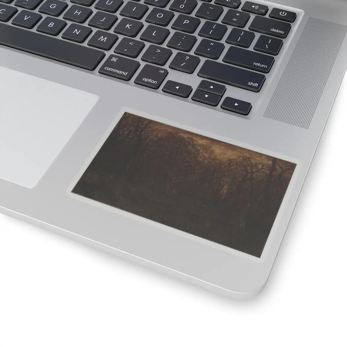 SKU:TSS-STICK-THDRSS-4X4-1N2NU Sizes:4" × 4" Types:Transparent