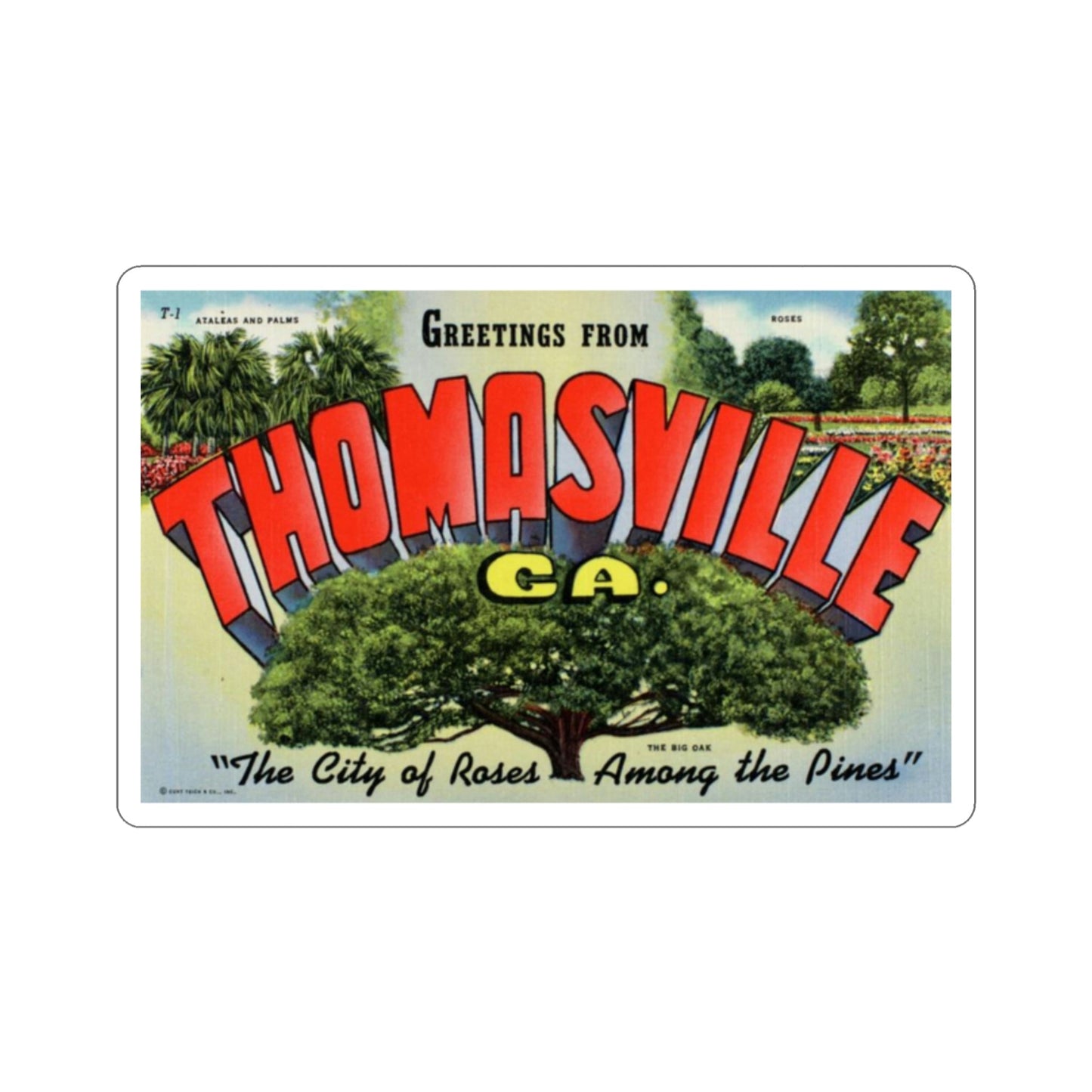 Thomasville Georgia (Greeting Cards) STICKER Vinyl Die-Cut Decal-2 Inch-The Sticker Space