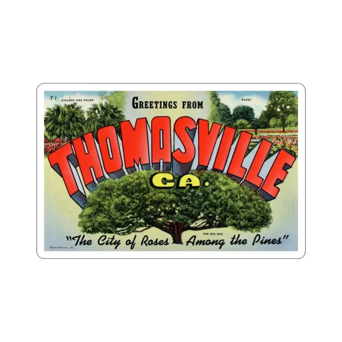 Thomasville Georgia (Greeting Cards) STICKER Vinyl Die-Cut Decal 6 Inch - The Sticker Space