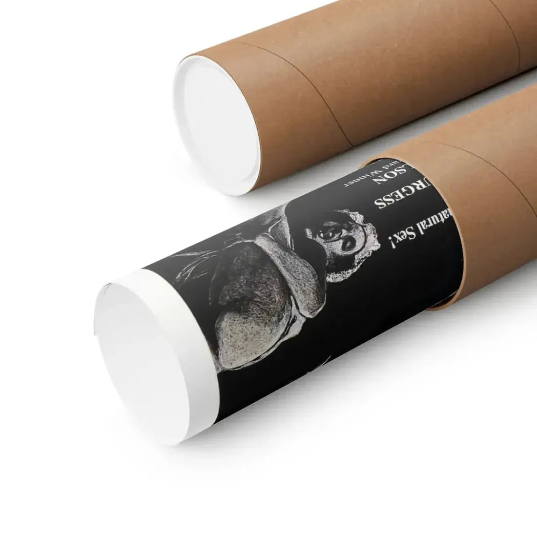 THROUGH THE LOOKING GLASS 1976 - Paper Movie Poster - The Sticker Space