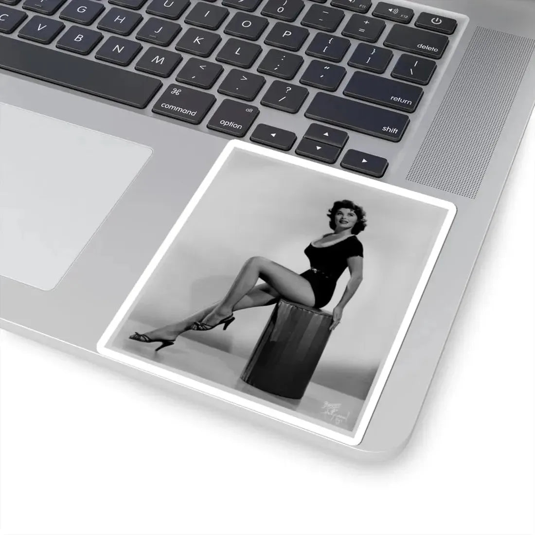Tina Louise #101 (Vintage Female Icon) STICKER Vinyl Kiss-Cut Decal - The Sticker Space