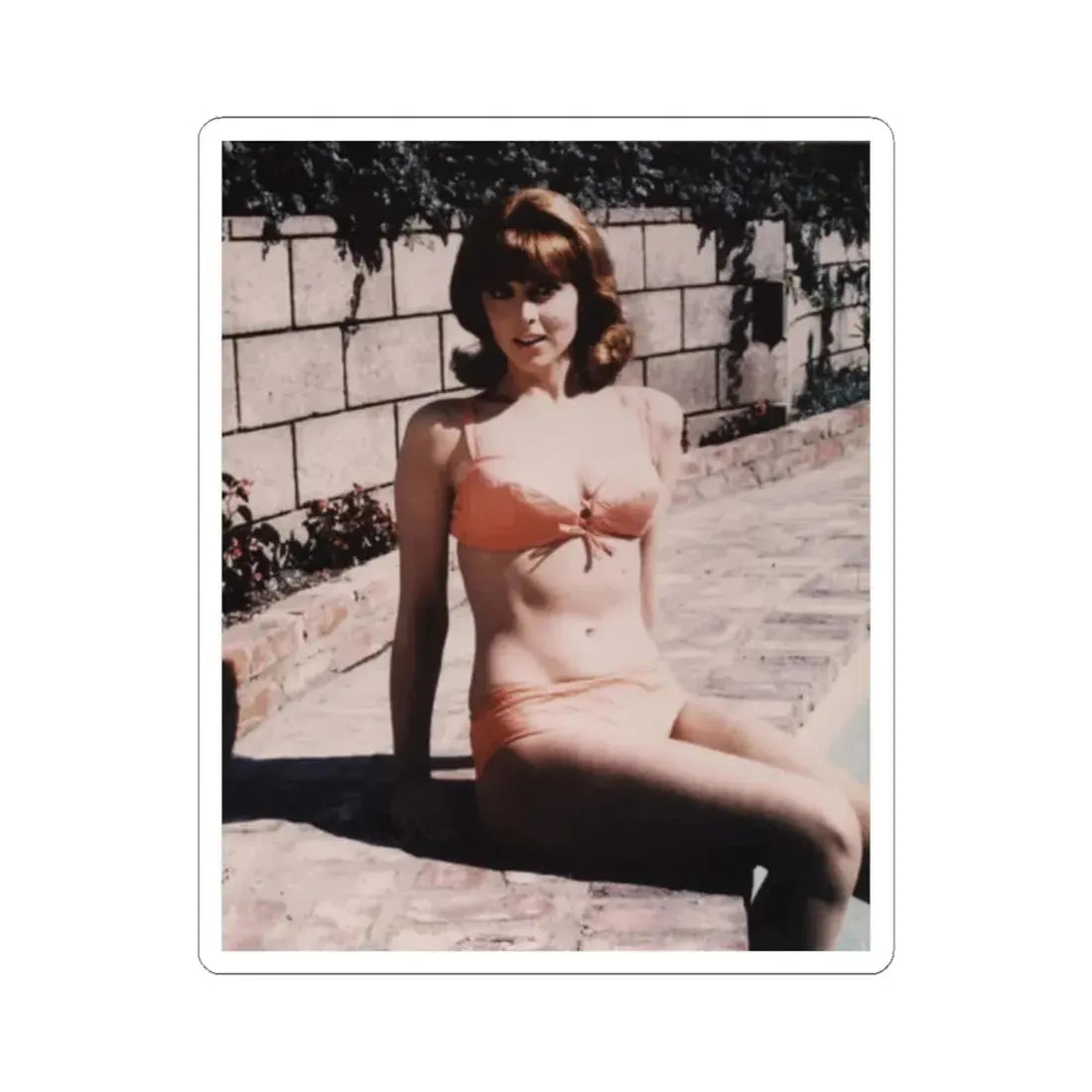 Tina Louise #18 (Vintage Female Icon) STICKER Vinyl Kiss-Cut Decal 2 Inch White - The Sticker Space