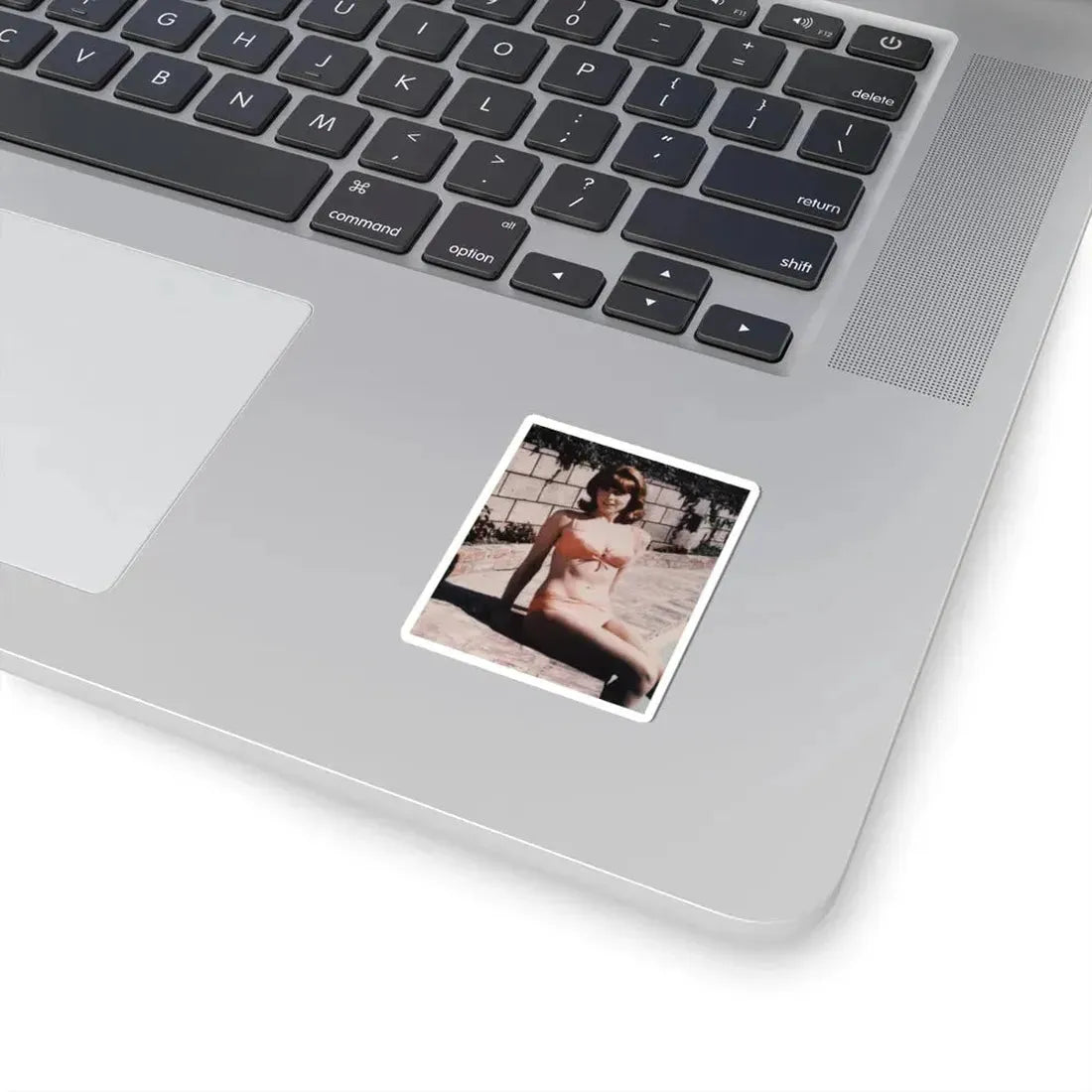 Tina Louise #18 (Vintage Female Icon) STICKER Vinyl Kiss-Cut Decal - The Sticker Space